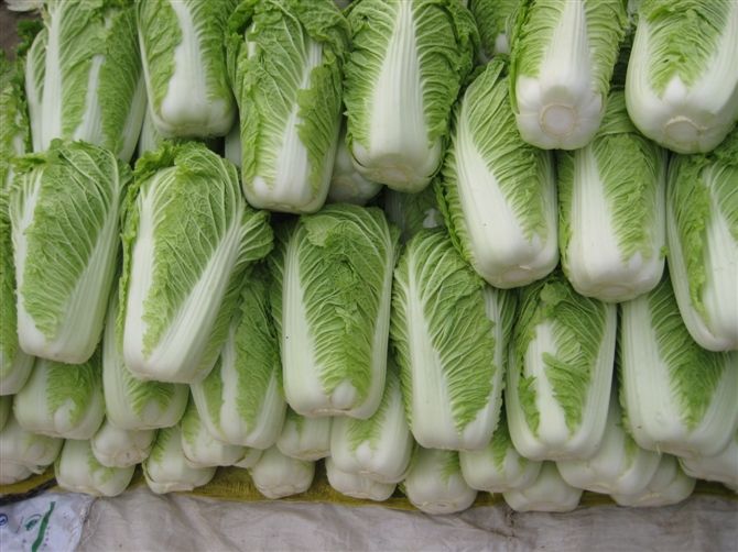 大白菜冷庫安裝好后儲藏需要做好哪些準(zhǔn)備工作？