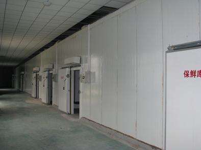 氣調庫相比較保鮮庫而言的話都有哪些特點？