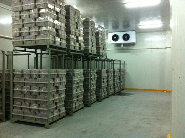 冷庫(kù)裝什么燈合適?冷庫(kù)燈和普通燈有有什么區(qū)別