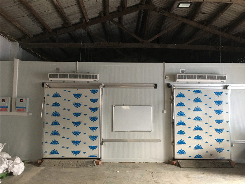 100噸冷庫建設成本多少錢?建100噸蔬菜冷庫造價